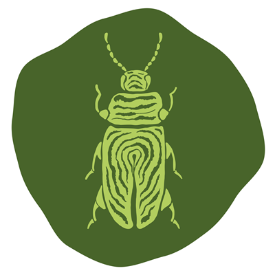 imago